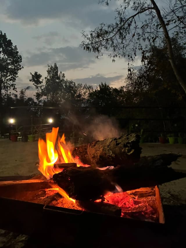 Mountain BBQ Setting